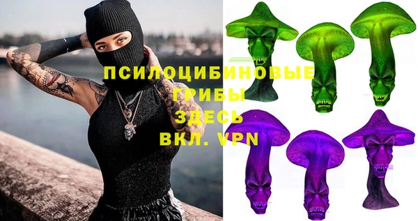 spice Арсеньев