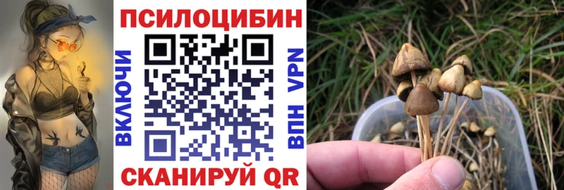 Галлюциногенные грибы прущие грибы  Саров 